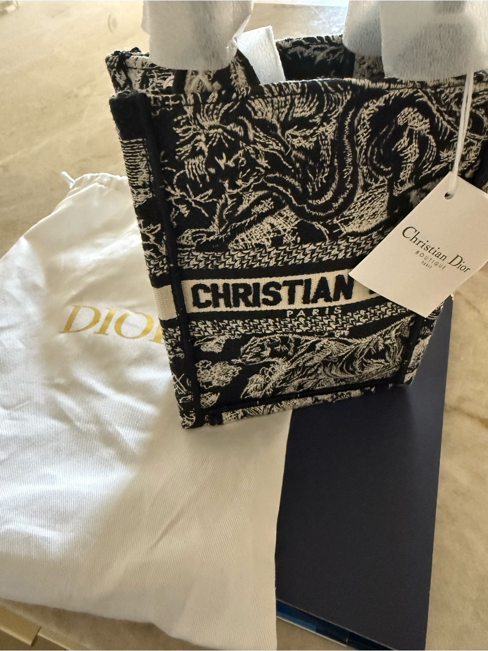 Dior Blue & White Book Bag